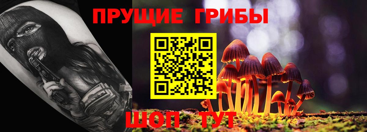 Дивногорск  Псилоцибиновые грибы Psilocybe  купить  сайты  Псилоцибиновые грибы GOLDEN TEACHER  Вход с VPN 