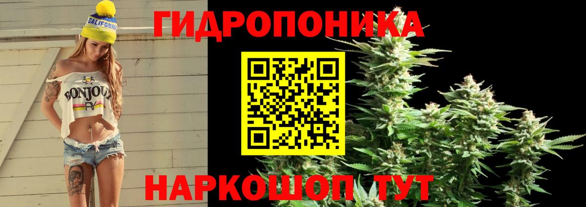 МАРИХУАНА семена  Шишки марихуана White Widow  Марихуана план  Вход с VPN  МАРИХУАНА конопля  Дивногорск 